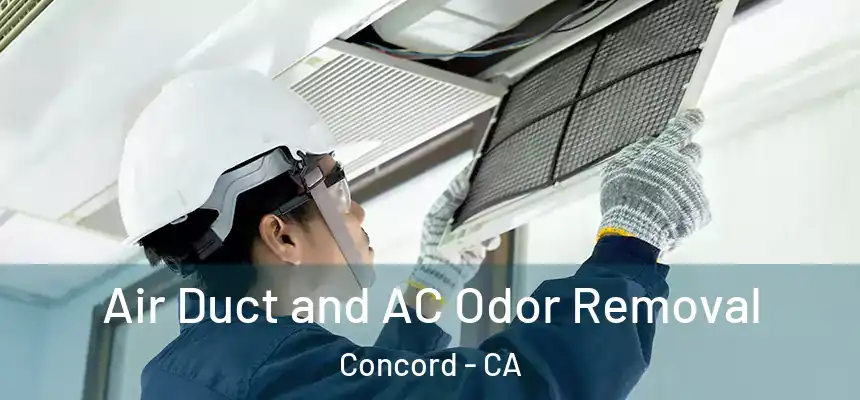 Air Duct and AC Odor Removal Concord - CA