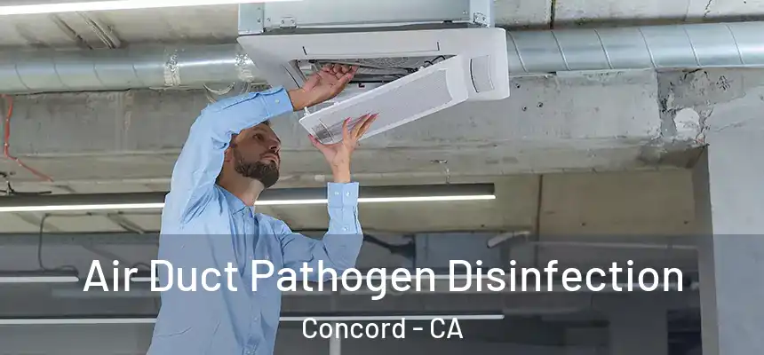 Air Duct Pathogen Disinfection Concord - CA