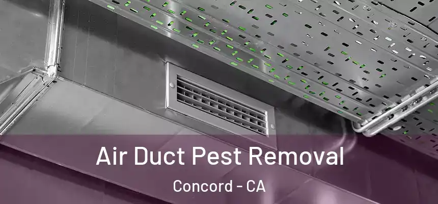 Air Duct Pest Removal Concord - CA