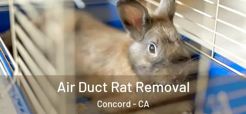 Air Duct Rat Removal Concord - CA