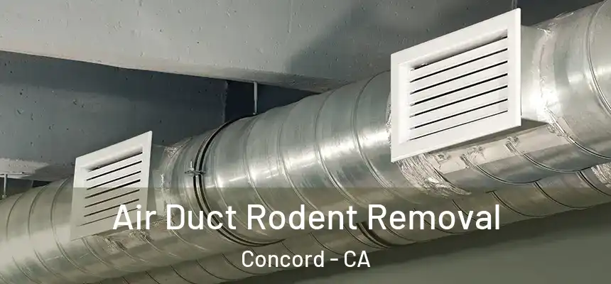 Air Duct Rodent Removal Concord - CA