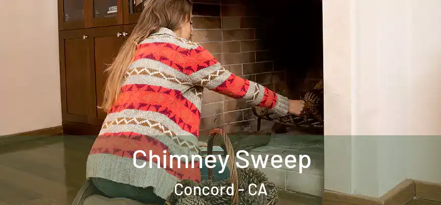 Chimney Sweep Concord - CA