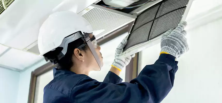 Our Mold & Mildew Removal from Air Ducts Services in Concord, CA