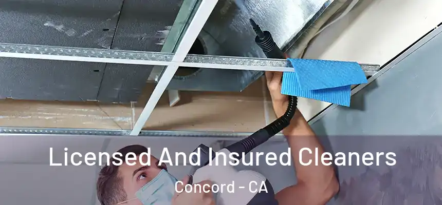 Licensed And Insured Cleaners Concord - CA