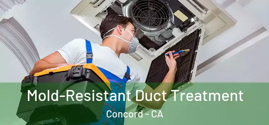 Mold-Resistant Duct Treatment Concord - CA