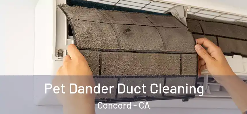 Pet Dander Duct Cleaning Concord - CA