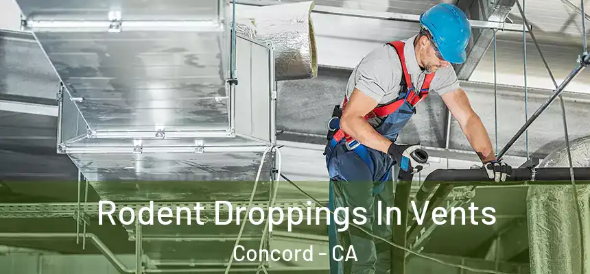 Rodent Droppings In Vents Concord - CA