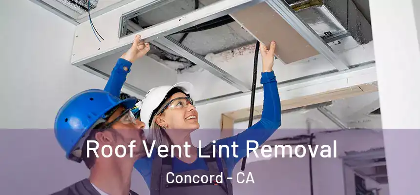 Roof Vent Lint Removal Concord - CA