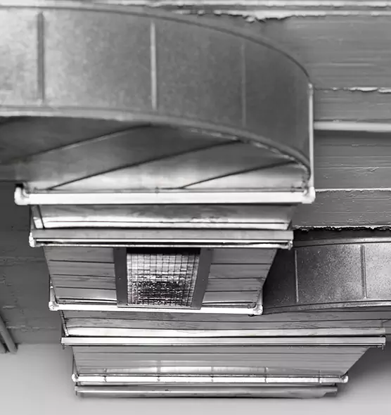 Professional Air Duct Pest Removal in Concord, CA