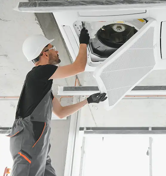 About Air Duct Rodent Removal in Concord, CA