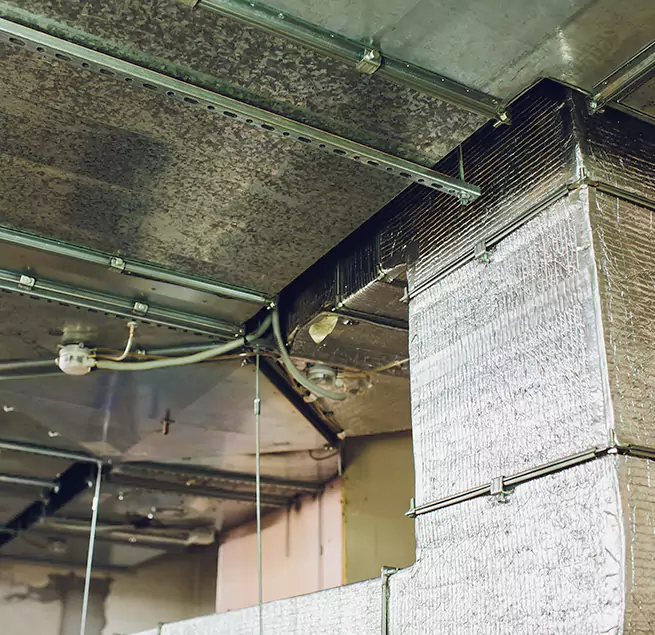 Why Homeowners & Businesses Trust Us in Concord, CA?