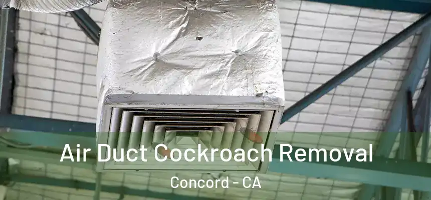  Air Duct Cockroach Removal Concord - CA