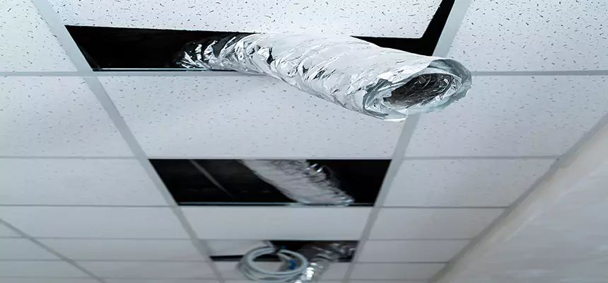 Our Air Duct Pet Hair Removal Services in Concord, CA