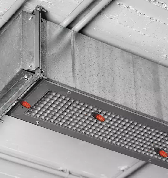 About Air Duct Cockroach Removal in Concord, CA