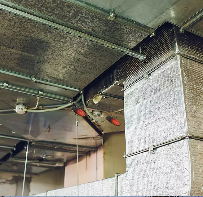 Why Homeowners & Businesses Trust Us in Concord, CA?